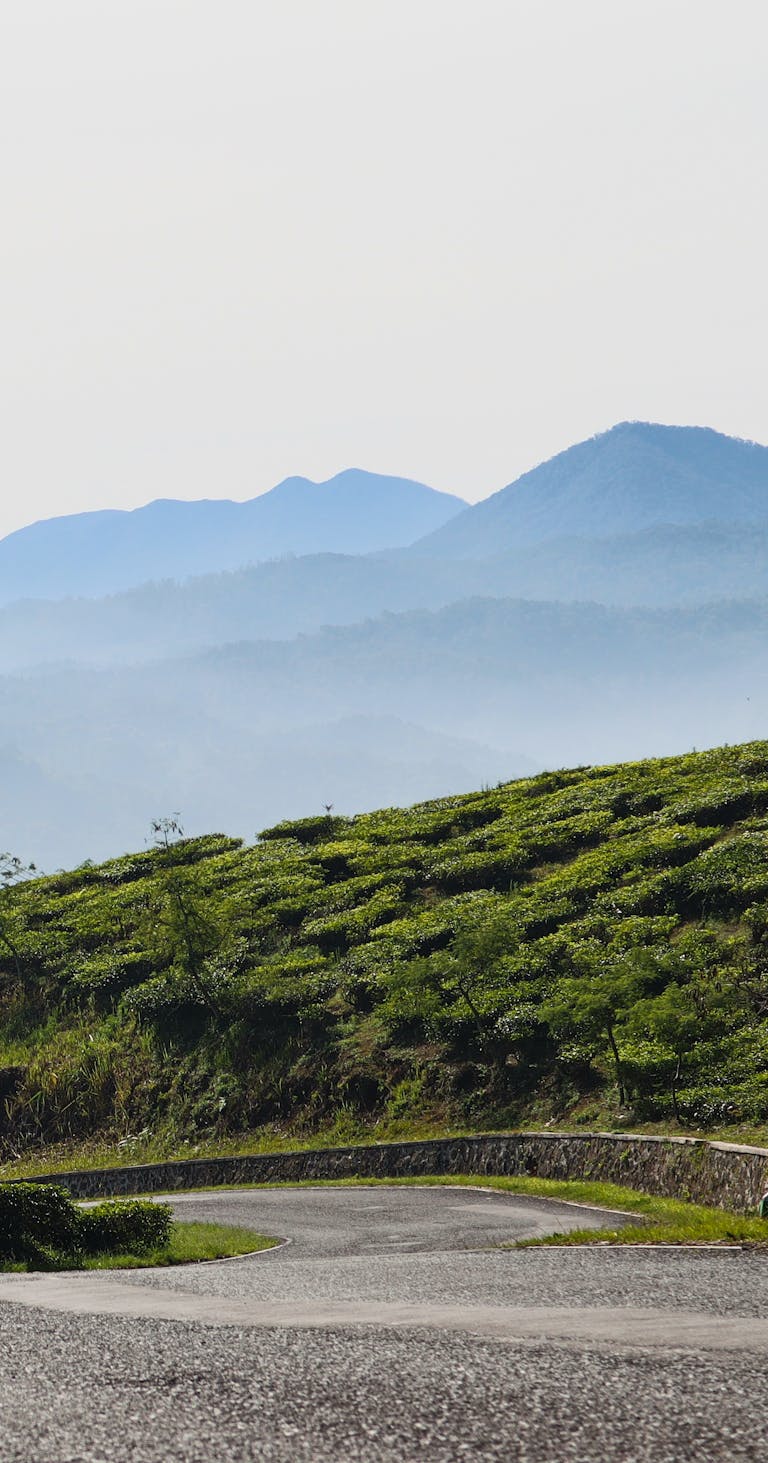 Curving road through lush greenery with misty mountain backdrop, perfect for travel inspirations.