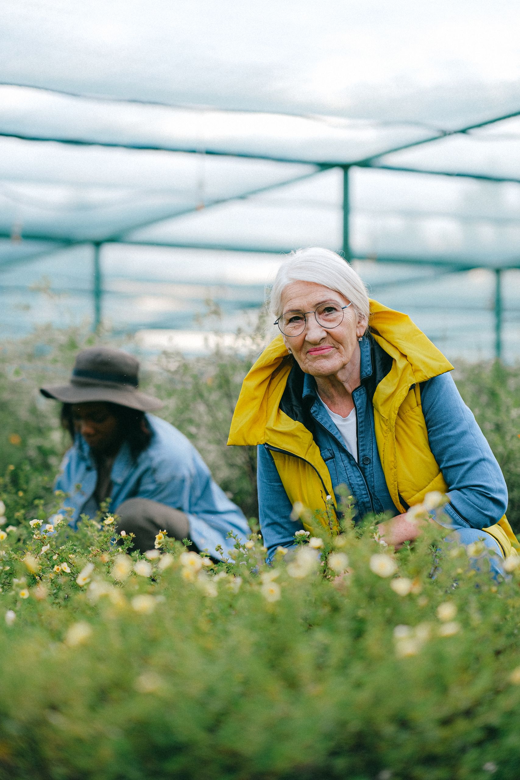 A senior woman gardening in a greenhouse, surrounded by plants.