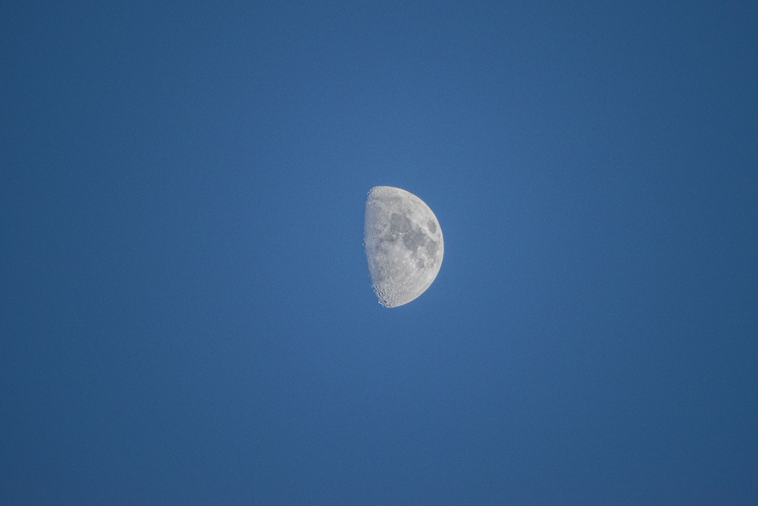 A detailed shot of the first quarter moon against a bright blue sky.