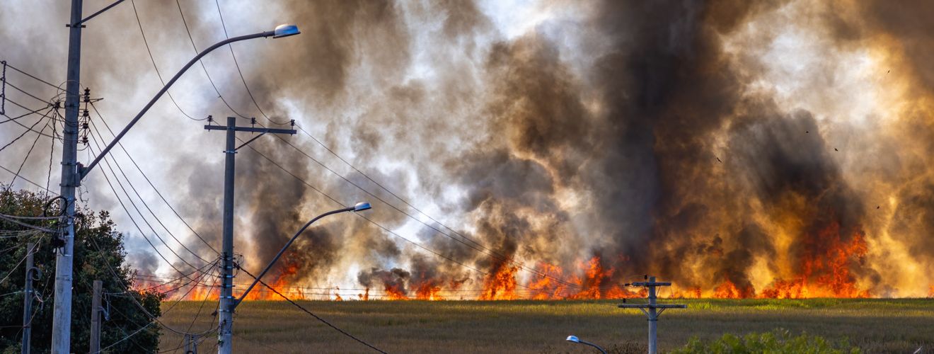 Rural landscape with a field engulfed in flames and thick smoke rising under a clear sky.