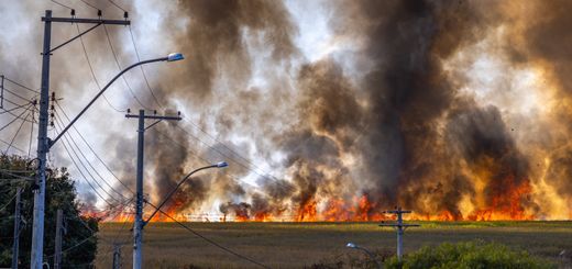 Rural landscape with a field engulfed in flames and thick smoke rising under a clear sky.