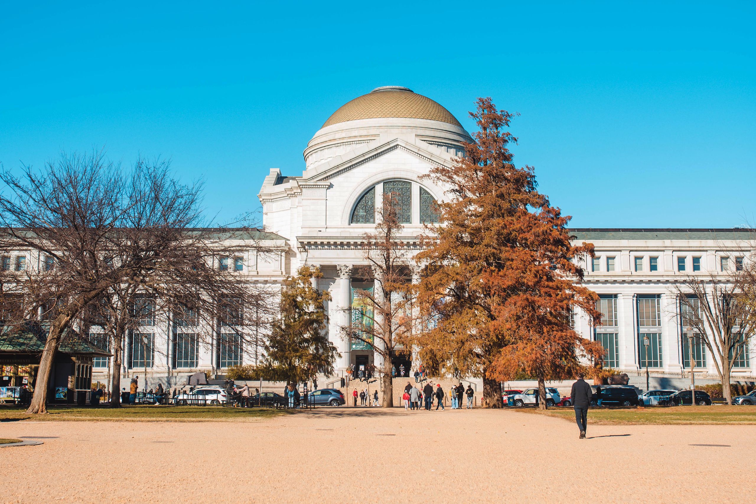 The Smithsonian Museum of Natural History in Washington DC under a clear blue sky.