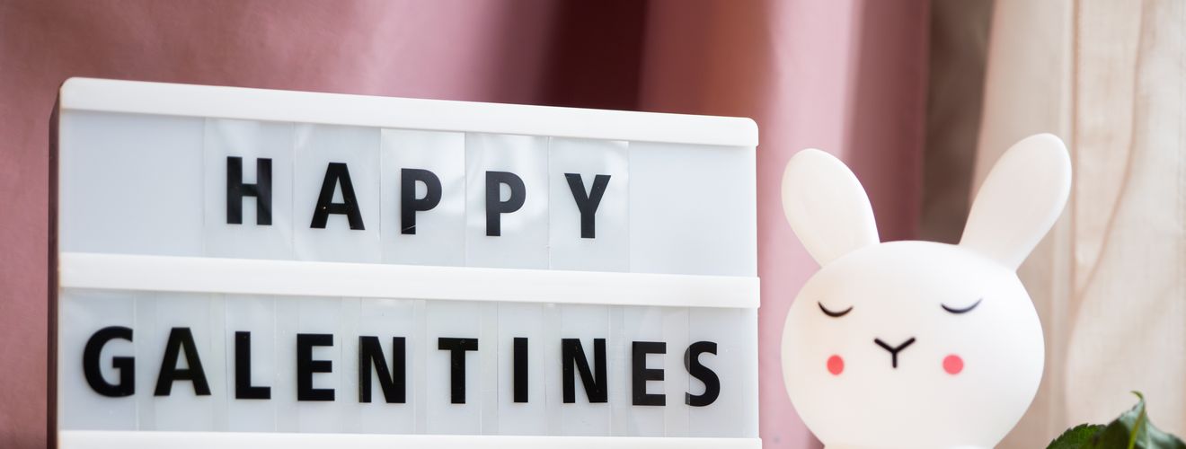 Cute bunny figurine with Happy Galentine's Day sign and pink accents.