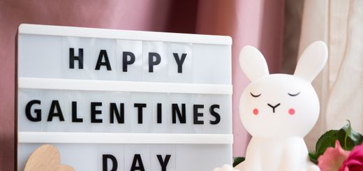 Cute bunny figurine with Happy Galentine's Day sign and pink accents.