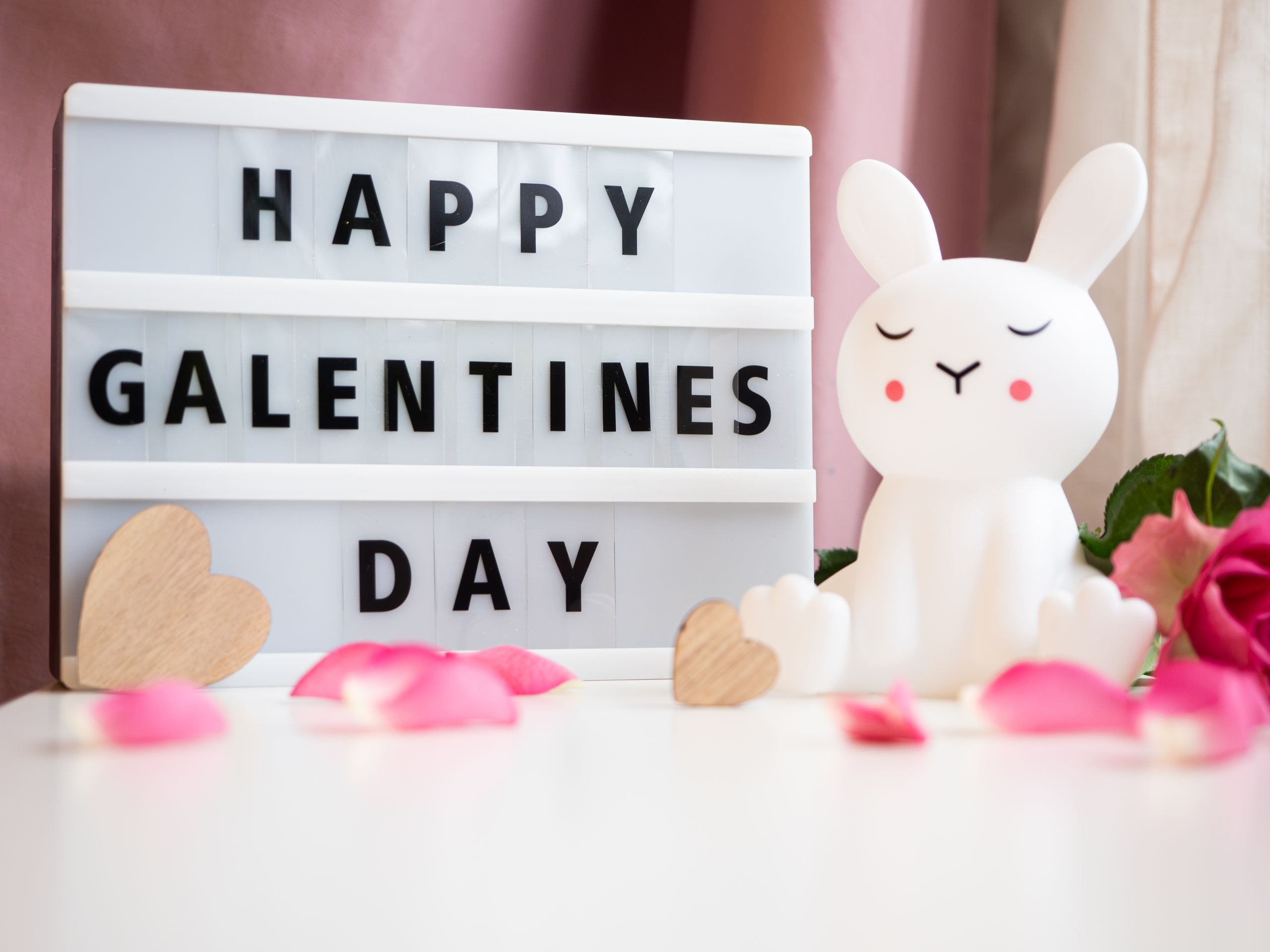 Cute bunny figurine with Happy Galentine's Day sign and pink accents.