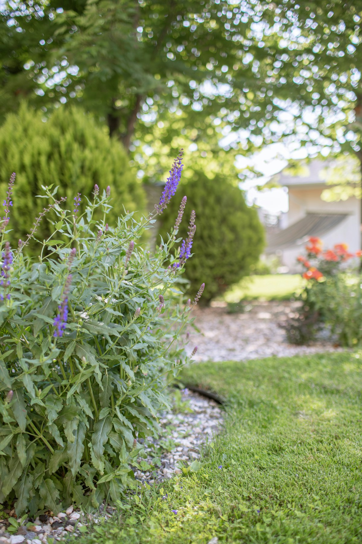 Low-Maintenance Landscaping: Reclaiming Your Weekends Without Losing Curb Appeal