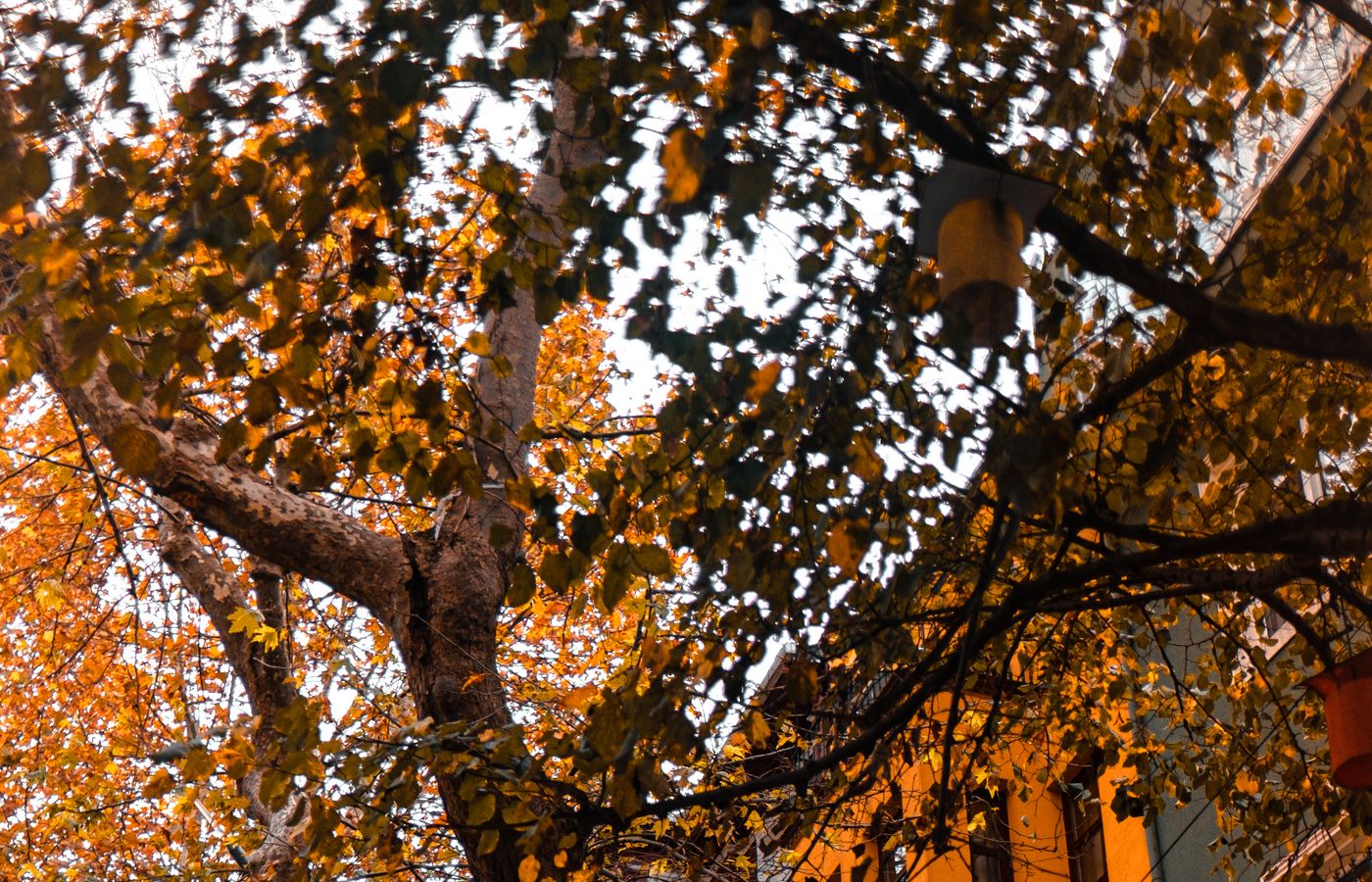 Fall Travel Is the New Summer: How Travelers 50+ Can Still Find Autumn Deals