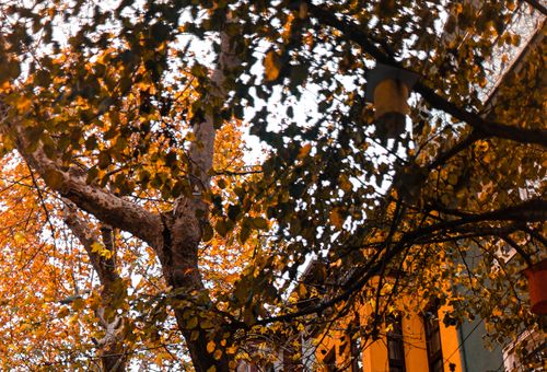 Fall Travel Is the New Summer: How Travelers 50+ Can Still Find Autumn Deals
