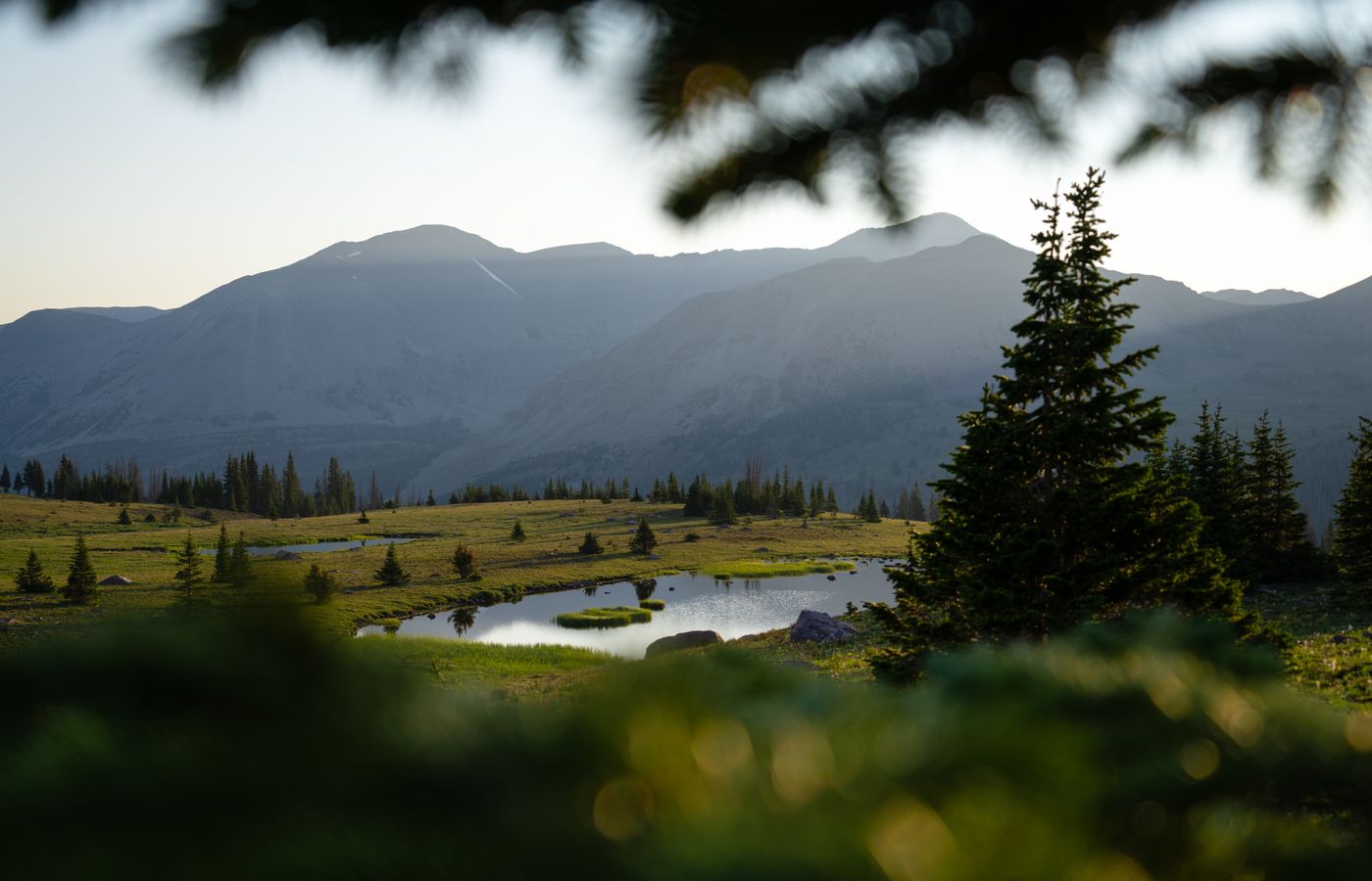 National Public Lands Day: What You Need to Know Before You Go This Weekend