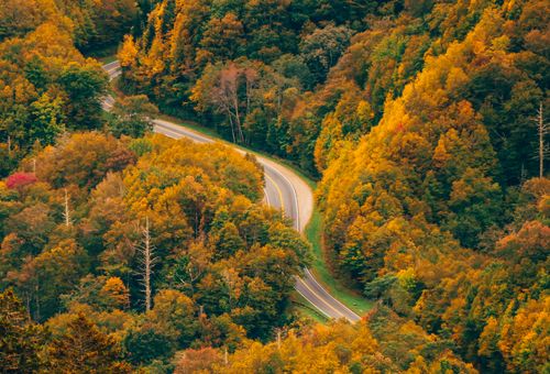 Lansing Mississippi River Bridge Opens Early: Discover Fall Road Trips