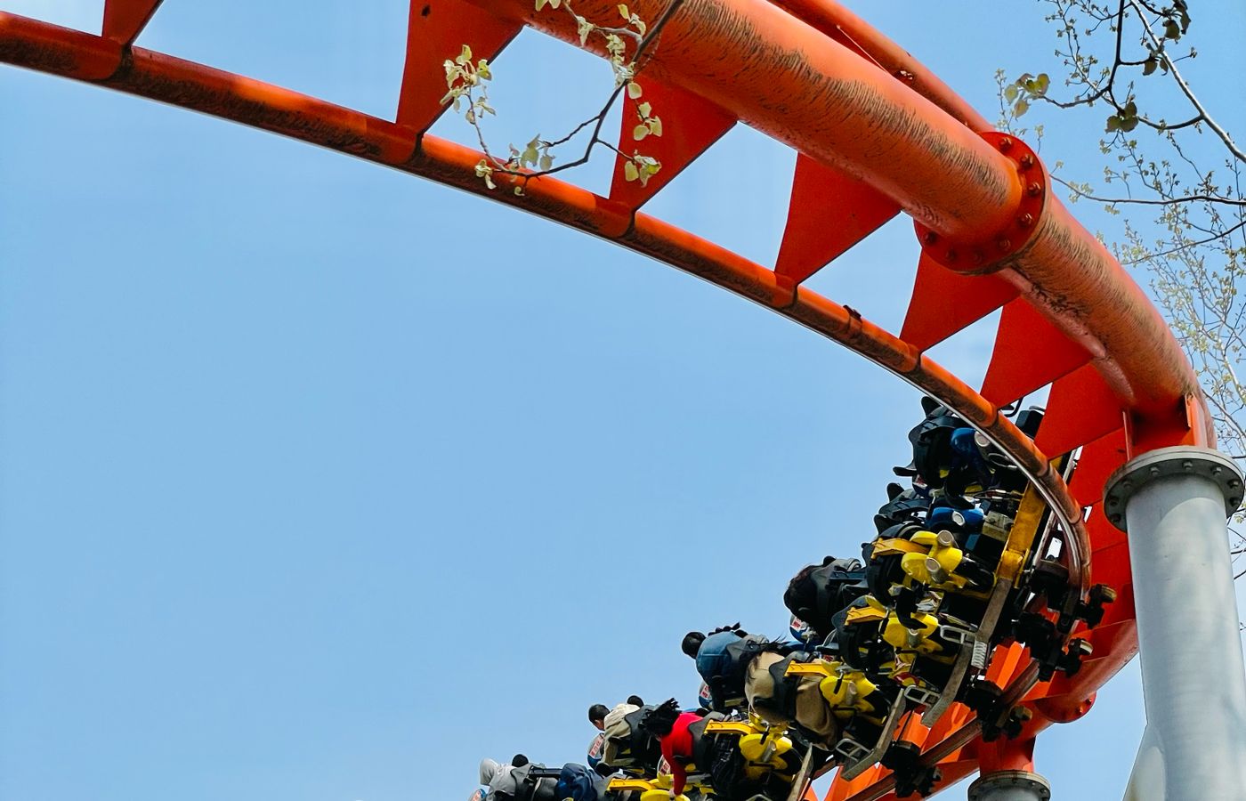 Roller Coaster Safety: 4 Essential Things You Need to Know After 50