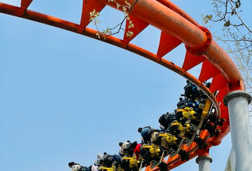 Roller Coaster Safety: 4 Essential Things You Need to Know After 50