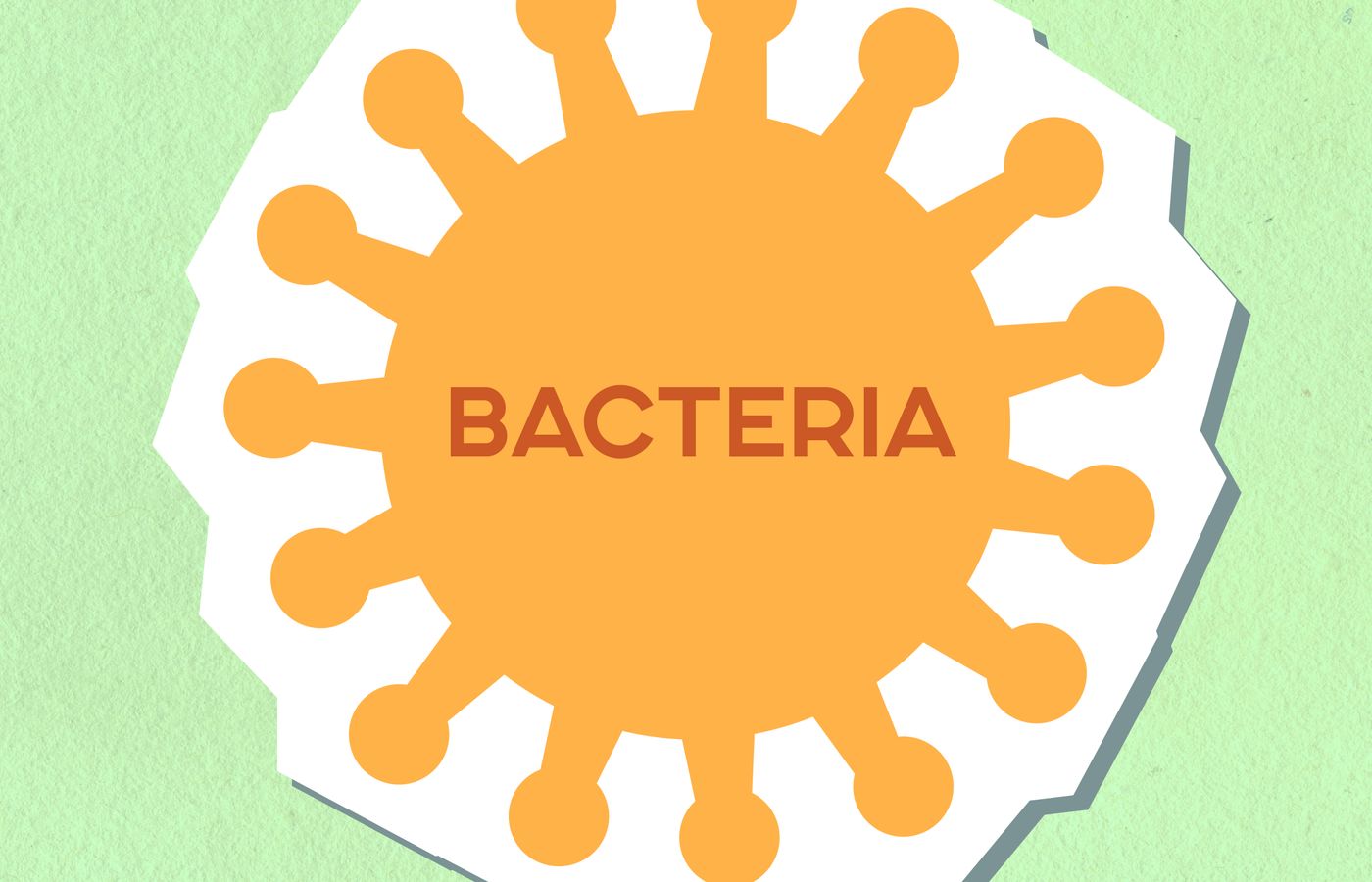 Cyclospora Lettuce Outbreak Closed: 3 Essential Food Safety Lessons After 50