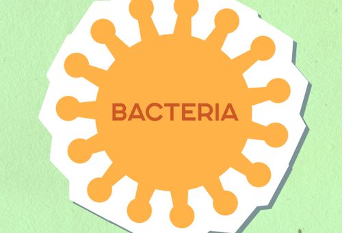Cyclospora Lettuce Outbreak Closed: 3 Essential Food Safety Lessons After 50